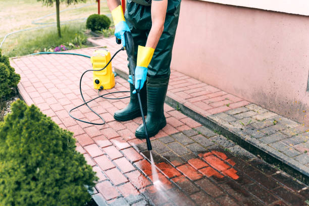 Best Gutter Cleaning  in Nephi, UT